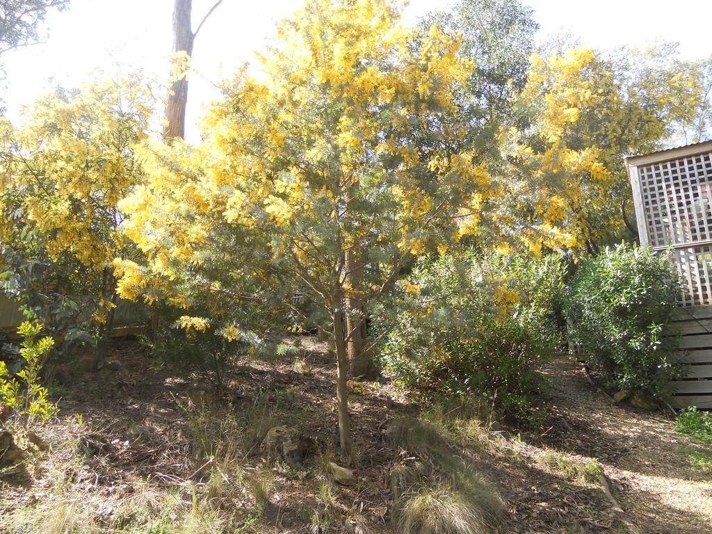 Astley Cottage Daylesford Ruang foto