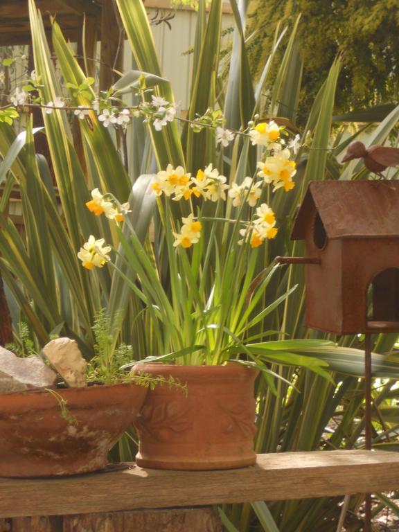Astley Cottage Daylesford Bagian luar foto