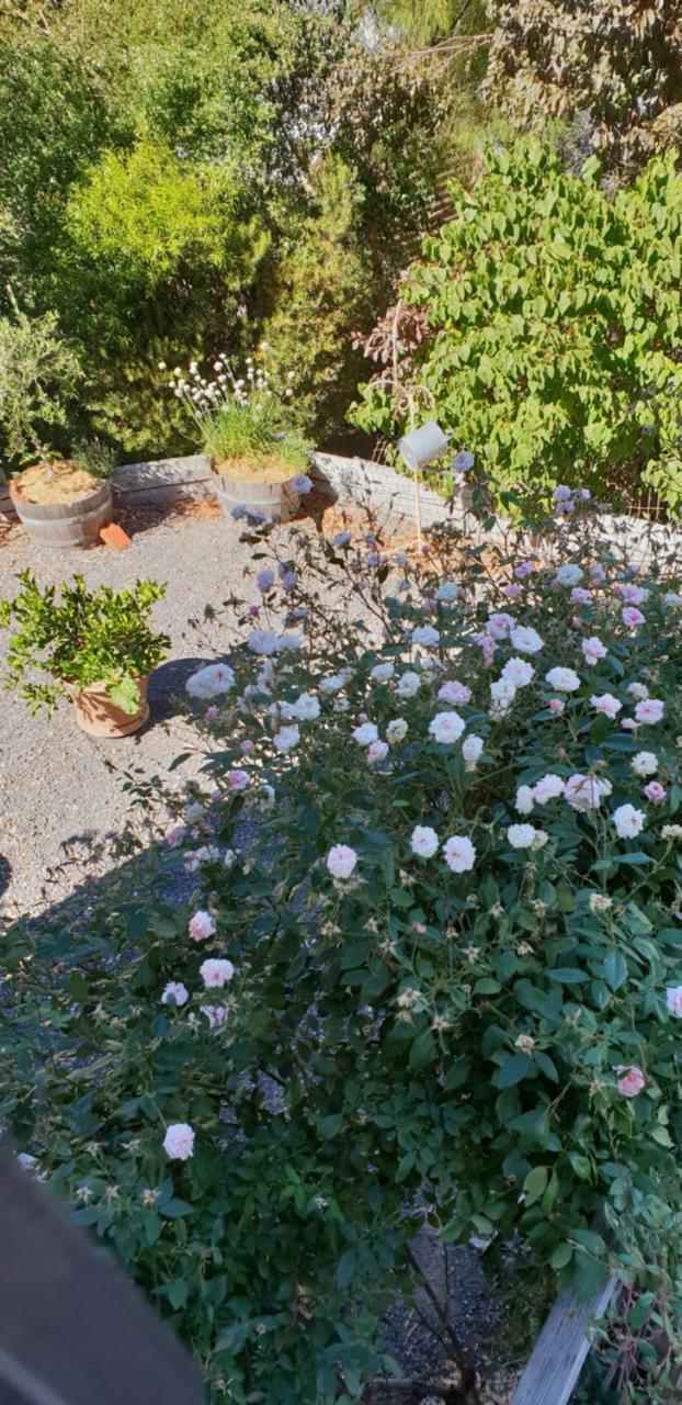 Astley Cottage Daylesford Bagian luar foto