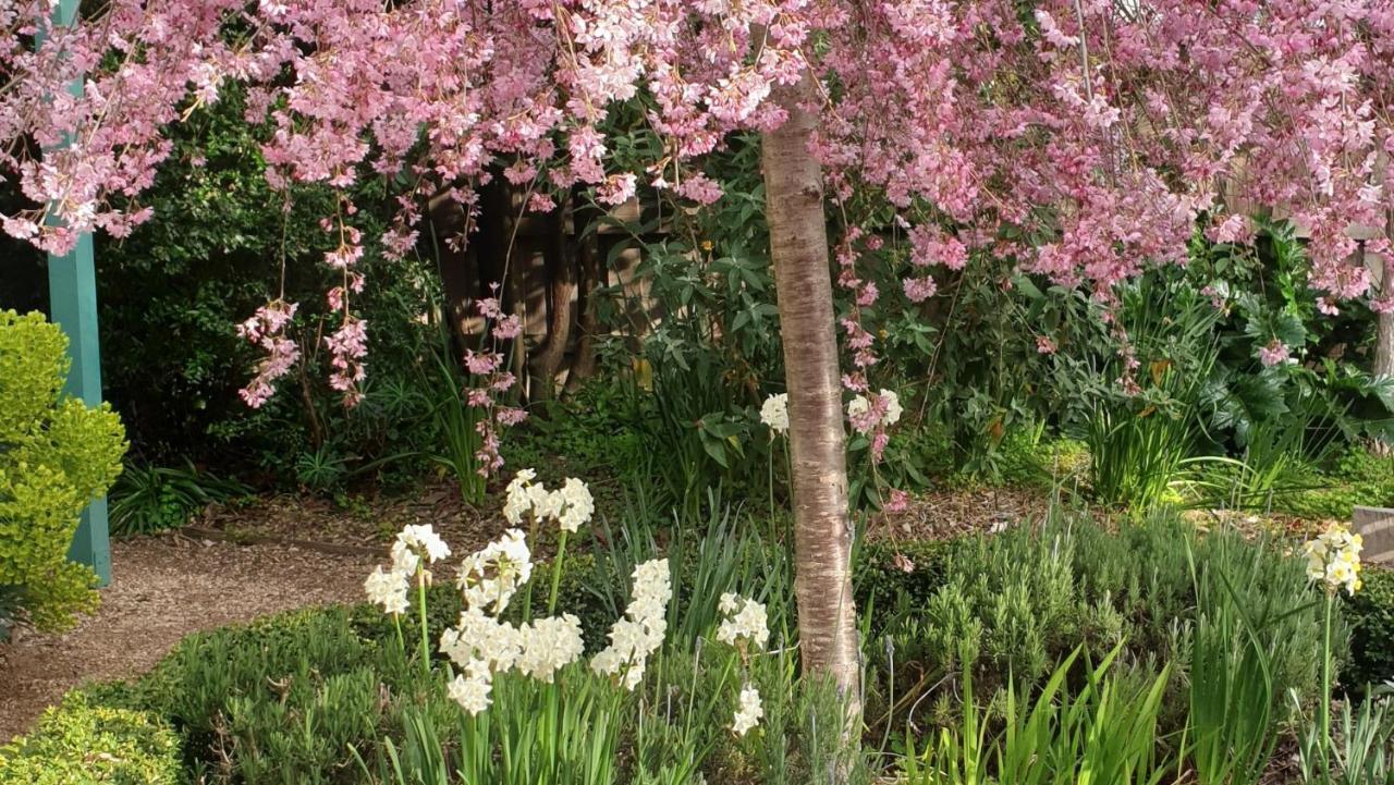 Astley Cottage Daylesford Bagian luar foto