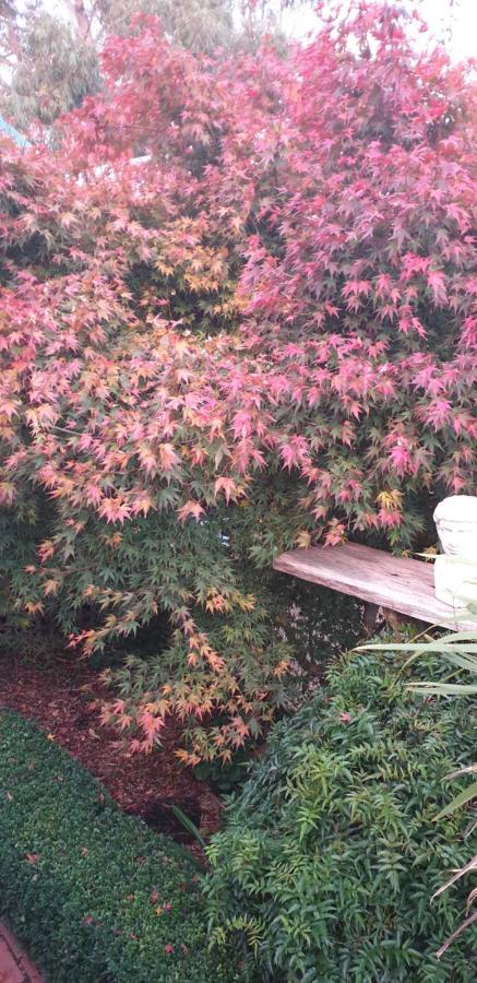 Astley Cottage Daylesford Bagian luar foto